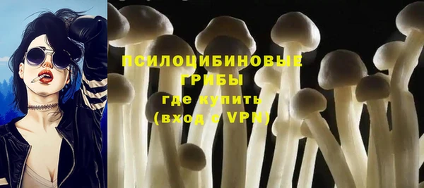 дмт Богородицк