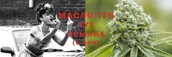 ECSTASY Богданович