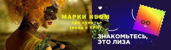дмт Богородицк