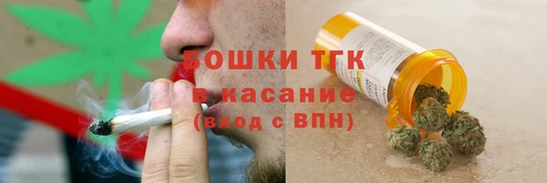 крисы Богородск