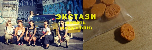 ECSTASY Богданович
