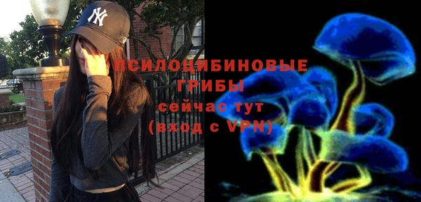 прущий лед Осинники