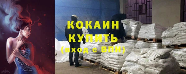 ECSTASY Богданович