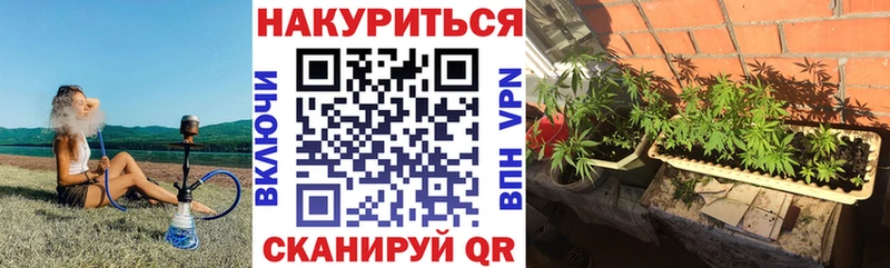 ссылка на мегу ССЫЛКА Мураши Марихуана индика где купить наркоту